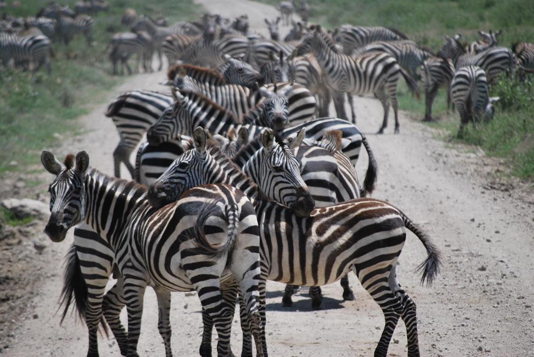 Serengeti National Park